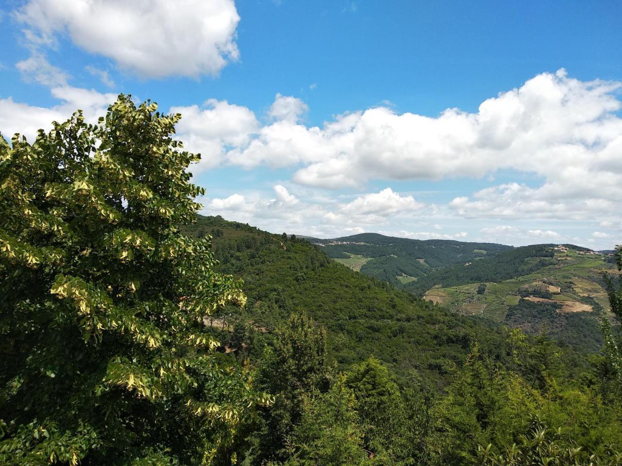 Quinta Da Telheira Ξενοδοχείο Vila Real Εξωτερικό φωτογραφία