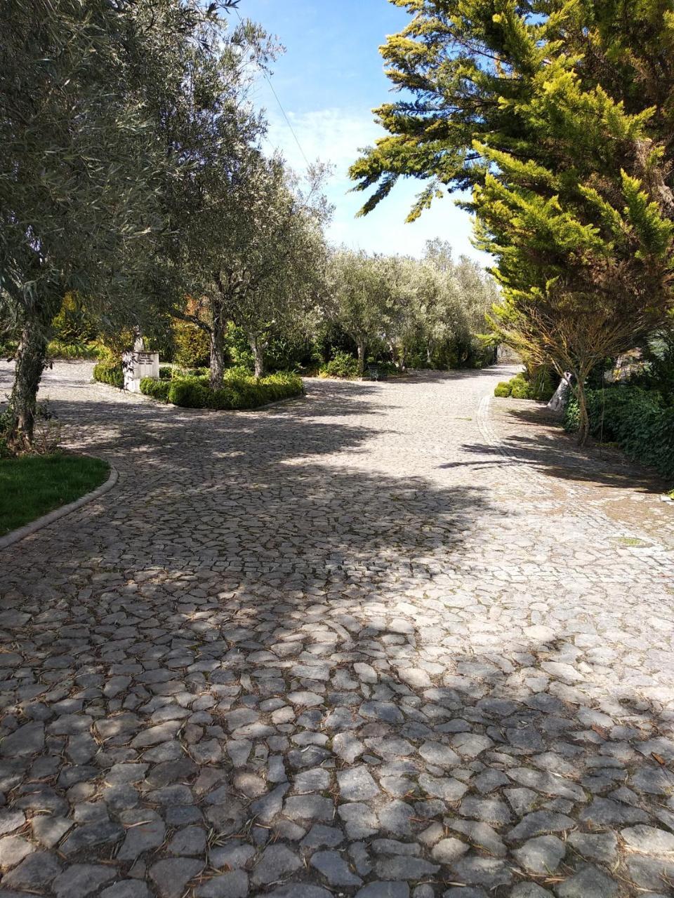 Quinta Da Telheira Ξενοδοχείο Vila Real Εξωτερικό φωτογραφία
