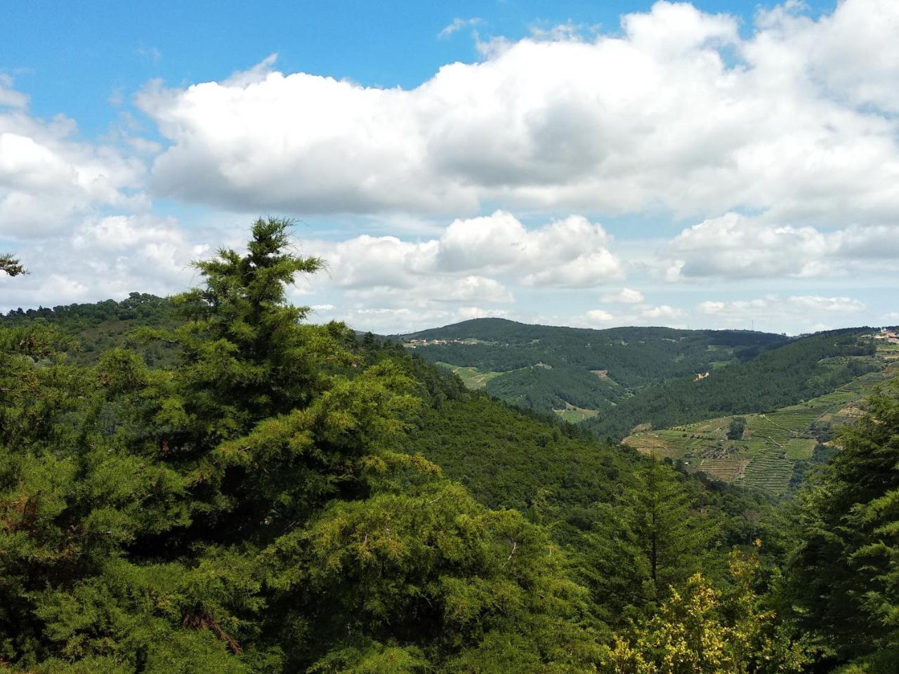 Quinta Da Telheira Ξενοδοχείο Vila Real Εξωτερικό φωτογραφία
