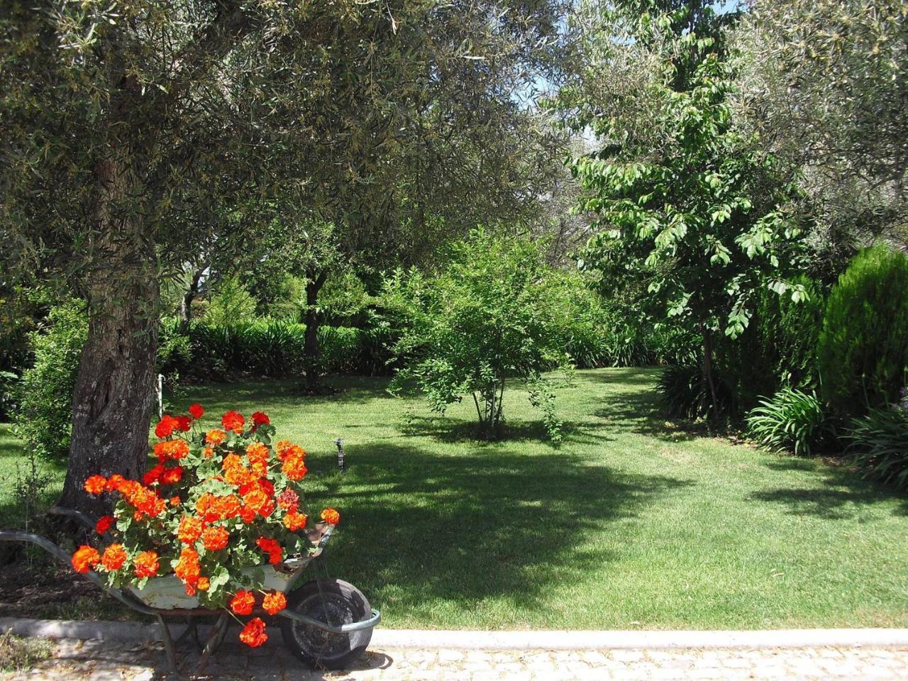 Quinta Da Telheira Ξενοδοχείο Vila Real Εξωτερικό φωτογραφία