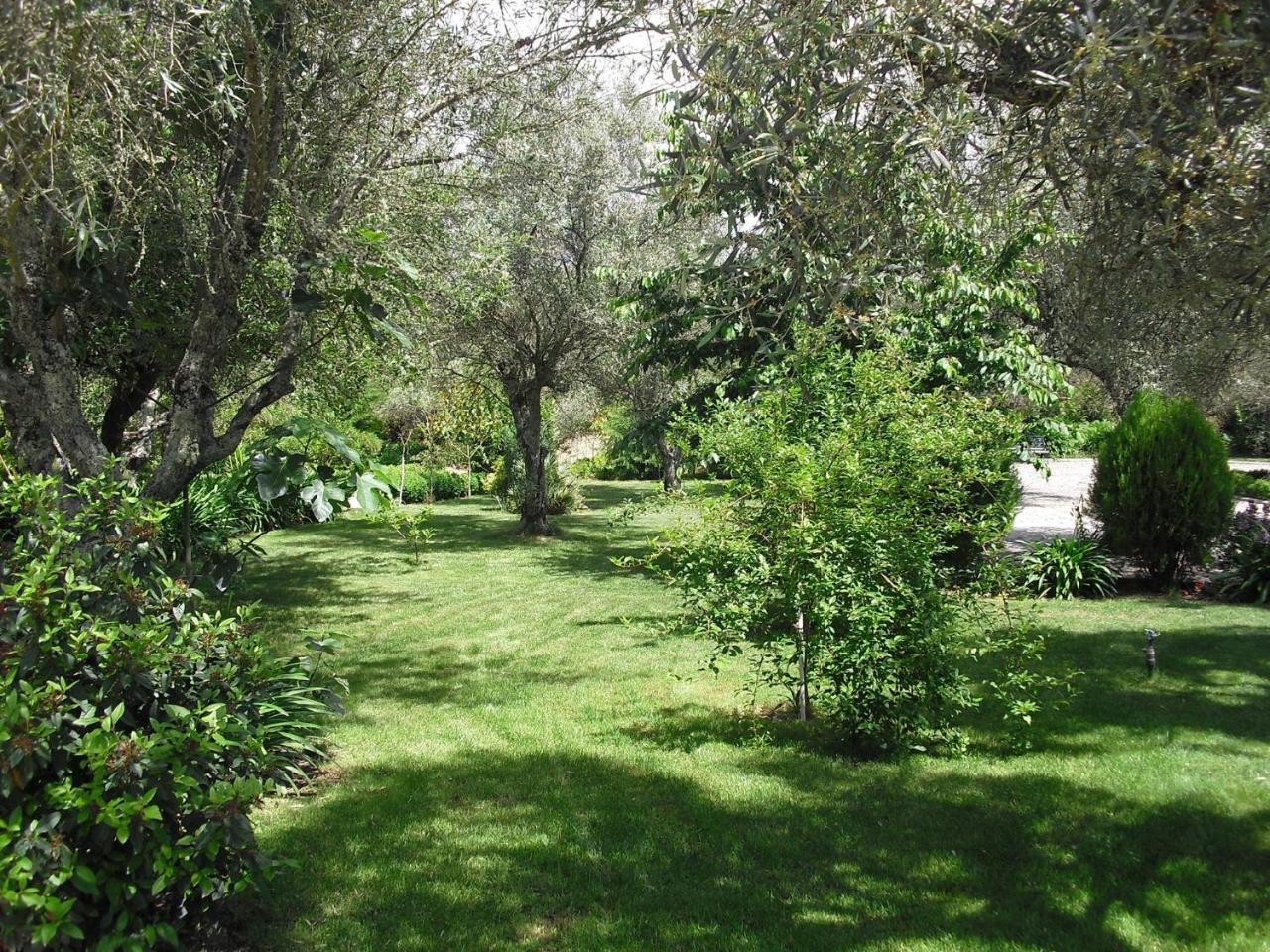 Quinta Da Telheira Ξενοδοχείο Vila Real Εξωτερικό φωτογραφία