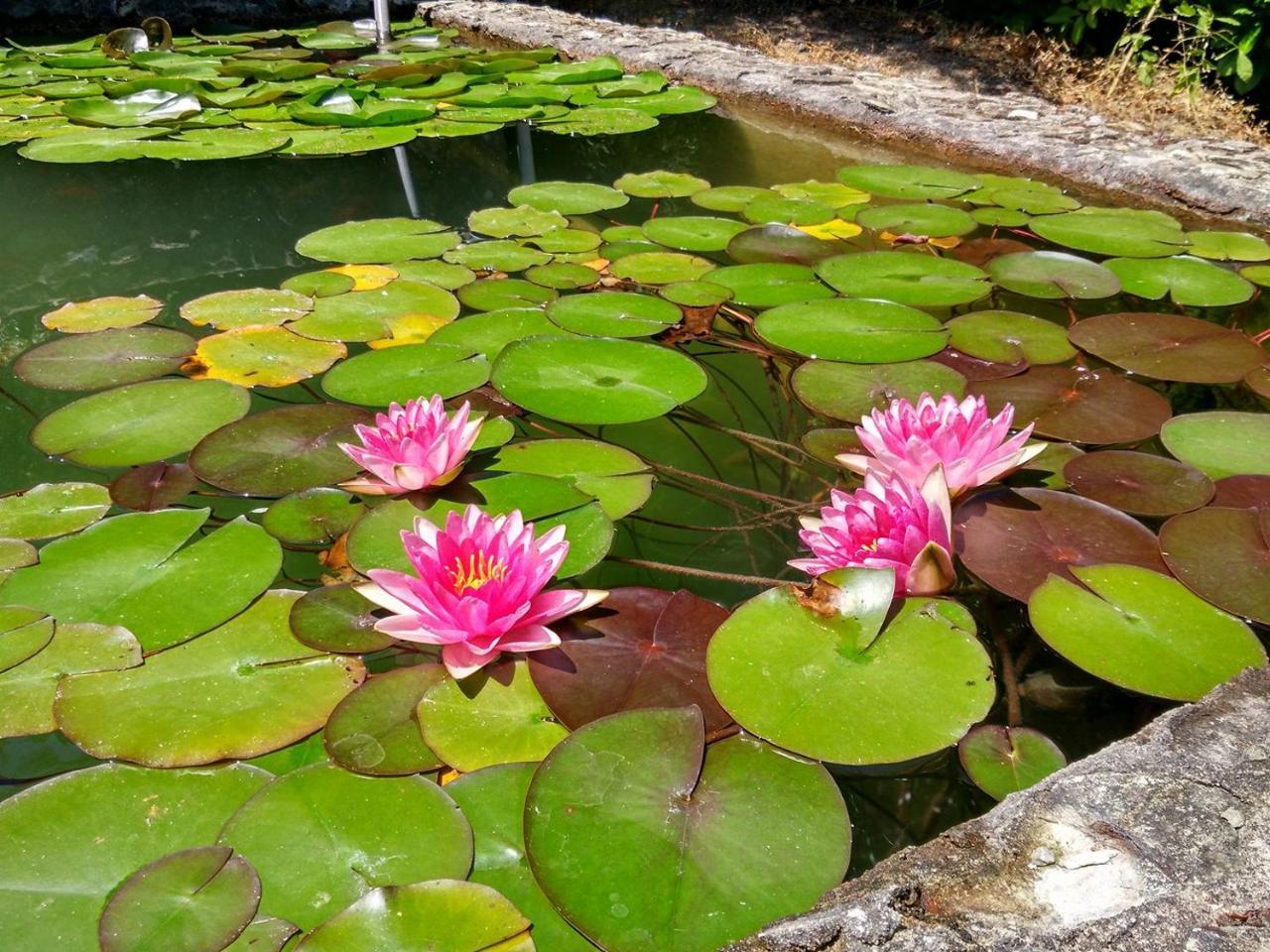 Quinta Da Telheira Ξενοδοχείο Vila Real Εξωτερικό φωτογραφία